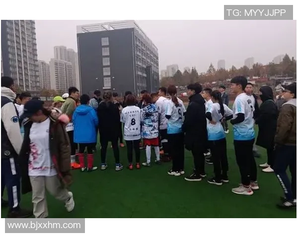 成都飞盘队运营策略深度分析与成功经验分享 成都飞盘队运营策略深度分析与成功经验分享